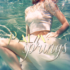 Palm Springs (The Bidden Series #12) by Crystal Cierlak